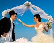 Как будет работать ускоренный брак и развод