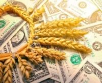 БЕБ підозрює зернотрейдерів у неповерненні ними валютної виручки в Україну на суму у $1,8 млрд